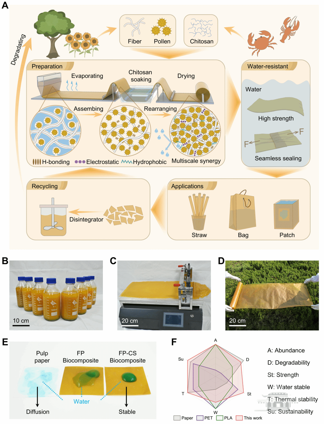 武大新突破 三种天然物质造出“可降解塑料”：防水又强韧--喜乐娱乐